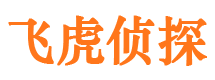 惠民侦探